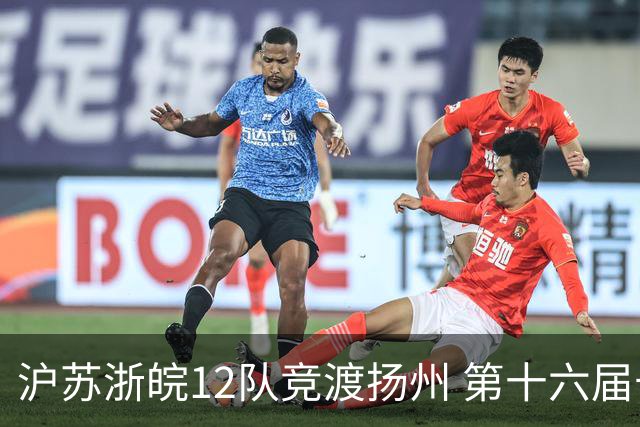沪苏浙皖12队竞渡扬州 第十六届长三角龙舟赛擂鼓开桨