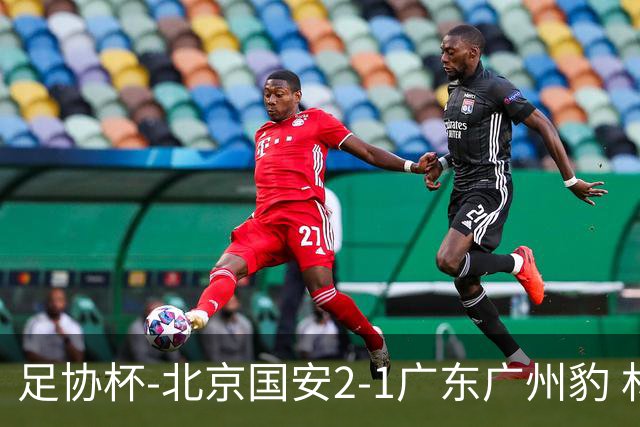 足协杯-北京国安2-1广东广州豹 林良铭梅开二度+中柱+造点+失点
